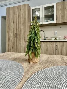 Kuchyň nebo kuchyňský kout v ubytování Belien Apartman