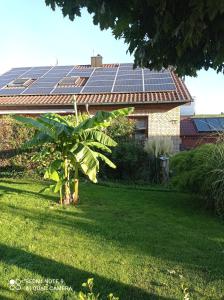 Moderne Ferienwohnung Neckarschleife mit Klimaanlage في Kirchheim am Neckar: منزل على السطح مع لوحات شمسية