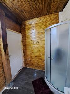 a walk in shower in a room with a wooden wall at Cabana Larisa in Armeniş