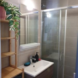 La salle de bains est pourvue d'un lavabo et d'une douche en verre. dans l'établissement Jolie charmant T3 refait à neuf à Marseille, à Marseille
