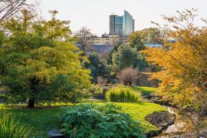 a park with a river and trees and a city at Botanical garden apartments in Oslo