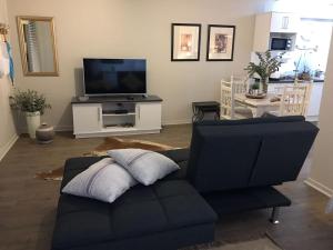 a living room with a couch and a television at Bloekomsrus in Senekal