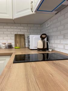 Kuchyň nebo kuchyňský kout v ubytování Apartman Alexandra + 17 fotografií