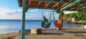 duas redes penduradas num gazebo na praia em Coco Carib - Bien Plus Qu'un Hébergement ! em Deshaies