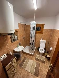 La salle de bains est pourvue de toilettes, d'une douche et d'un lavabo. dans l'établissement Forest Guest House, à Sîntimbru-Băi
