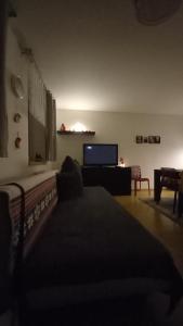 Televízia a/alebo spoločenská miestnosť v ubytovaní Harrachovský apartmán