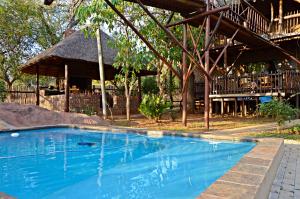 een groot blauw zwembad voor een huis bij Bona Ngwenya Lodge & Safaris in Marloth Park