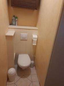 ein kleines Bad mit WC und Waschbecken in der Unterkunft Appartement serre chevalier 1200 in Briançon