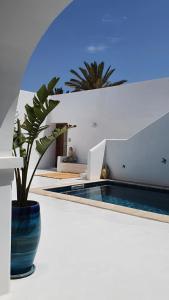 una planta en un jarrón azul sentada junto a una piscina en Maison d’hôte, Djerba 