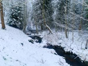 einen schneebedeckten Wald mit einem Fluss und Bäumen in der Unterkunft Vana-Vastseliina külalistemaja in Illi