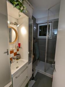 een badkamer met een douche en een wastafel bij Appartement cosy au pied des pistes in Corrençon-en-Vercors
