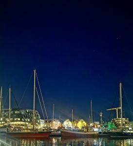 Fotografie z fotogalerie ubytování Jolly Good Times Sailing v destinaci Tromsø