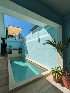 a swimming pool in the middle of a house at Casa Aguazul in Campeche