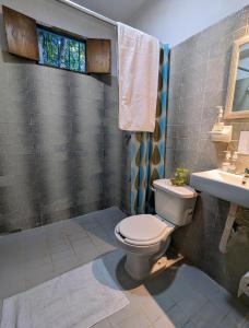 a bathroom with a toilet and a sink at Casa Aguazul in Campeche