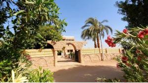 Gallery image of hathor guest house in Luxor