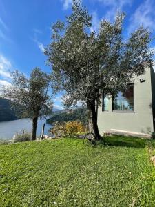 Afbeelding uit fotogalerij van Quinta Vale do Cabo in Riba Douro +58 foto's