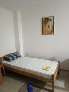 - un lit dans une chambre avec une photo sur le mur dans l'établissement Adamovic, à Pirot
