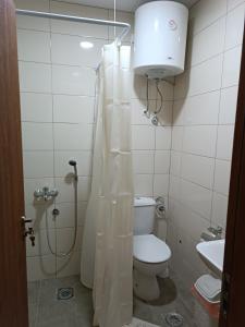La salle de bains est pourvue de toilettes, d'une douche et d'un lavabo. dans l'établissement Adamovic, à Pirot