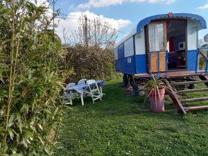 ein blauer und weißer Zug parkt im Gras in der Unterkunft le clos des epinettes in Angé