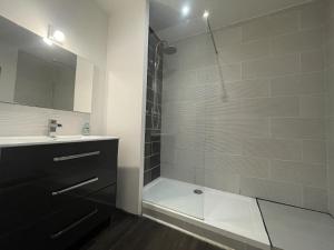 a bathroom with a shower and a sink at The Central's Pearl - Centre - 6p - Rêve au Mans in Le Mans