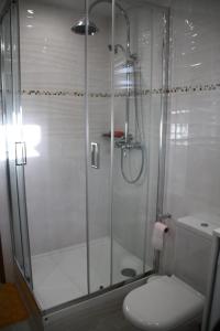 a bathroom with a glass shower with a toilet at maison canoa in Argenteuil