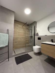 a bathroom with a shower and a toilet and a sink at Coucou - Nest im Schwarzwald in Gengenbach