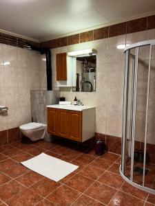 a bathroom with a toilet and a sink and a shower at Liten kjellerleilighet. Landlig rolig område. in Tromsø +7 photos
