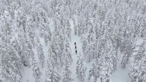 uma vista aérea de uma floresta coberta de neve com duas pessoas na neve em Apartment Reki em Rovaniemi
