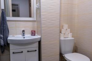 盧巴瓦新城的住宿－CityOasis Apartment，一间带水槽和卫生间的浴室