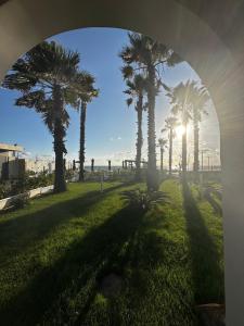un grupo de palmeras en un parque con el sol en Luxury Resort, en Licola