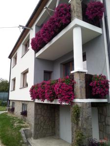 - un bâtiment blanc avec des fleurs sur les balcons dans l'établissement Blueberry, à Buczkowice