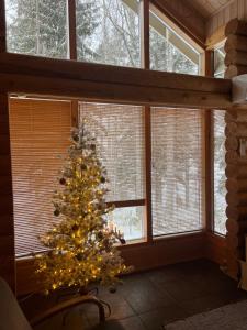 uma árvore de Natal num quarto com janelas em Holiday Home Amero purnu 3 em Kolinkylä