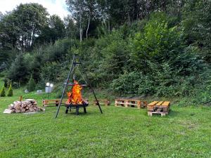 eine Feuerstelle im Gras auf einem Feld in der Unterkunft Willa Wioletta in Tylmanowa