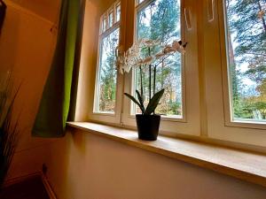 Fotografie z fotogalerie ubytování Ferienhaus im Grünen mit Kamin v destinaci Oranienburg + 34 fotografií