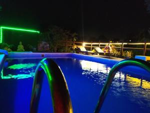 - une piscine avec des lumières bleues et vertes la nuit dans l'établissement Casa Rural La Milla Verde, à Malaga