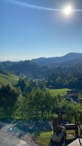 a view of a valley from a hill with a bench at Appartement Gamlitz in Gamlitz