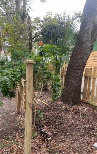 un poste de madera frente a un árbol en 150-year-old Lincolnville cottage 3bedroom 2bath, en St. Augustine