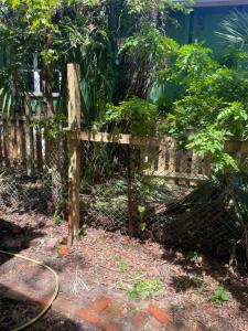 a garden with a fence and a hose at 150-year-old Lincolnville cottage 3bedroom 2bath in Saint Augustine