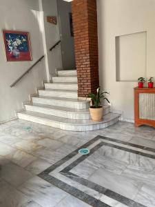 ピレウスにあるPiraeus Acropole Hotelの鉢植えの部屋の階段