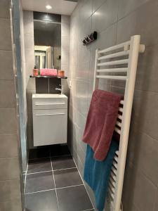 a bathroom with a towel rack and a mirror at Charmant cocon iodé cosy équipé, baigné de lumière, situé au cœur de La Rochelle à 1min à pied du marché central avec TV et Wifi in La Rochelle