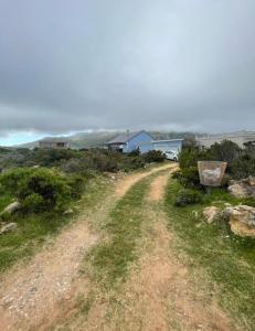 a dirt road in the middle of a field at Brandys beach house bettys bay in Bettyʼs Bay