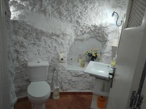 a stone bathroom with a toilet and a sink at Casa/Cueva el Cigarrillo in Pegalajar +19 photos