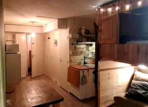 Cuisine ou kitchenette dans l'établissement Studio Alpheratz Forest - 1 à 3 pers - WIFI, balcon, vue piste et glacier Muzelle, calme, proche commerces et pistes- TSC Super Venosc à 80m