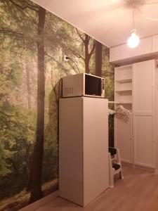 Una cocina o cocineta en Studio Alpheratz Forest - 1 à 3 pers - WIFI, balcon, vue piste et glacier Muzelle, calme, proche commerces et pistes- TSC Super Venosc à 80m 10 fotos más