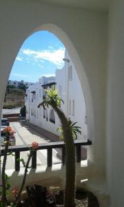 kaktus w pokoju z widokiem na budynek w obiekcie Apartamento con vistas al mar en la Isleta del Moro w mieście Níjar