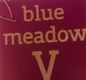 un libro con las palabras azules escritas en Blue Meadow, en Livadi Astypalaias