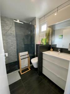 a bathroom with a sink and a toilet and a shower at Appartement terrasse proche Versailles in Élancourt
