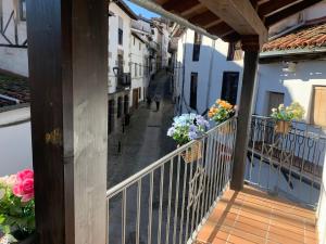 埃爾瓦斯的住宿－La Estrella de David, Apartamentos Rurales，建筑里装有鲜花的阳台