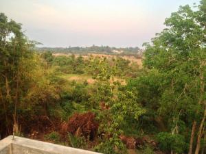 uma vista para a floresta a partir da varanda de uma casa em MIST em Ambalangoda