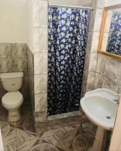 uma casa de banho com um chuveiro, um WC e um lavatório. em Big Apple Hotel em Montego Bay